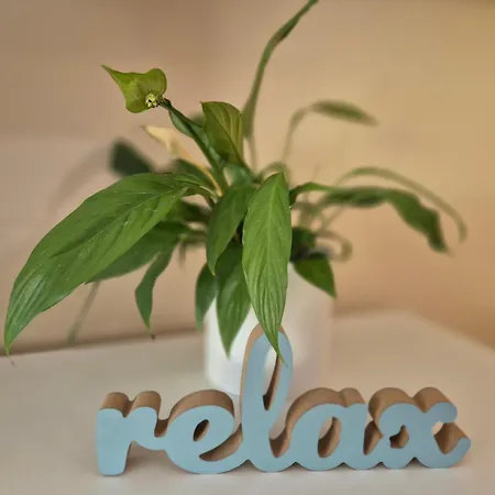 Enjoy